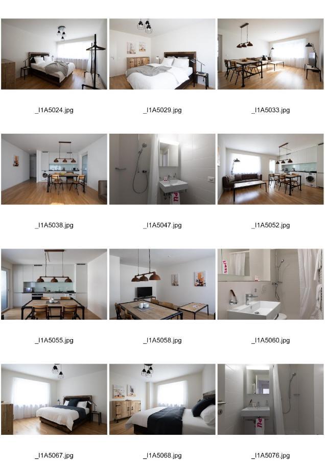 Appartamento Nest - Riehenring 147 Basilea Esterno foto